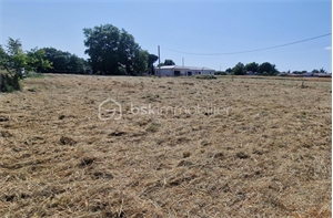 terrain à la vente -   82000  MONTAUBAN, surface 1084 m2 vente terrain - UBI477044354
